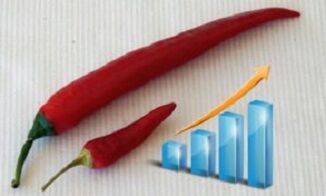 The rise of penis